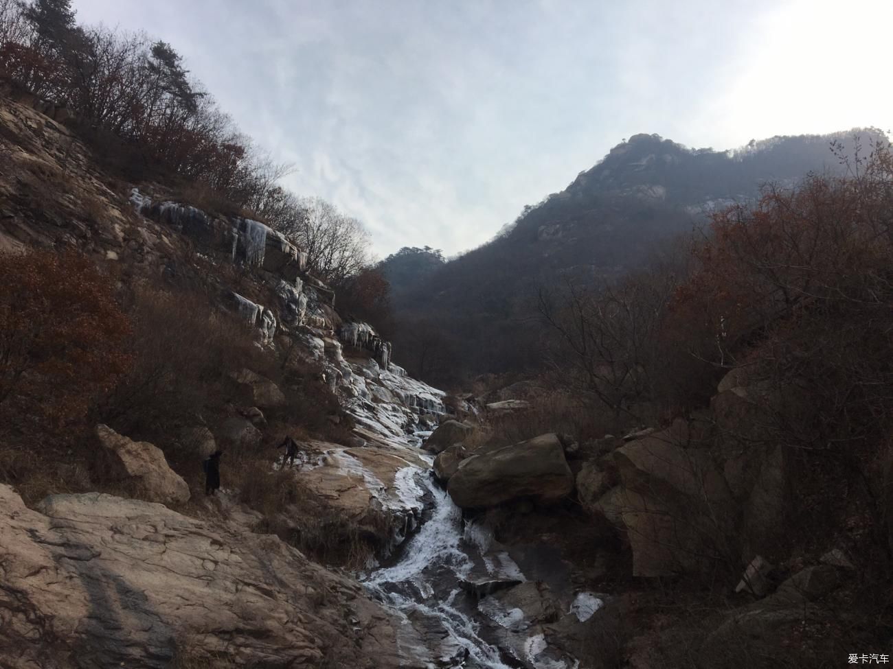 一日游|临时决定的旅行，凤凰山初冬一日游