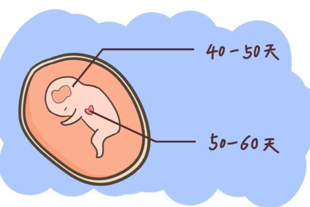 孕12周产检“无胎心”，多和这些因素有关，孕妇一定要注意防范！