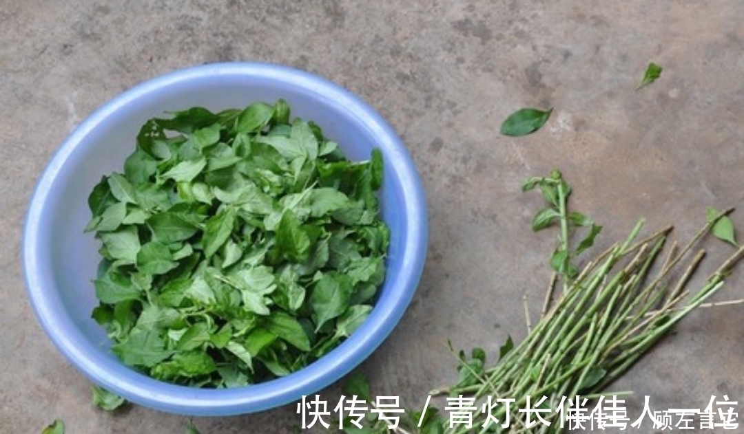 身体棒|有钱没钱，冬天都要常吃此物，养肝明目，软化血管，身体棒！