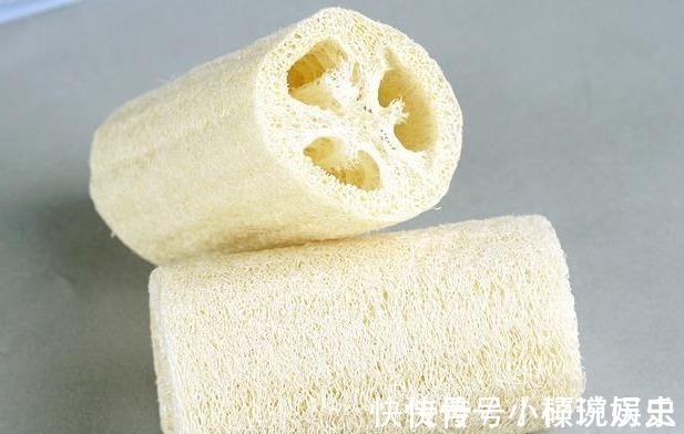 药用价值|这种农村的植物,被农民当成刷碗布,没想到还有这么高的药用价值