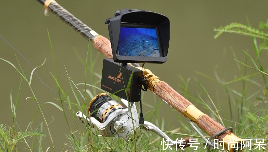 什么是允许休闲垂钓?官方解答来了,只需符合四点