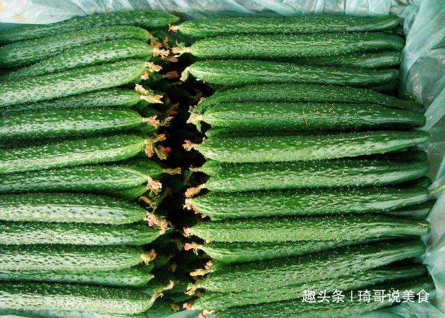 琦哥|打了激素的黄瓜怎么辨认菜农教你一招，看一眼就认出！