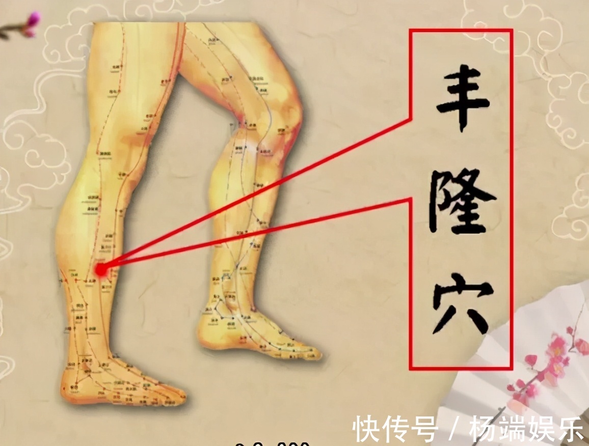 养生|「养生干货—降低血脂」不要“冷落”了高血脂问题,腿疗来帮您