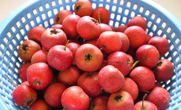 胆固醇|经常用山楂泡水喝，一段时间后，身上可能发生以下4个“变化”！