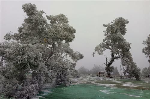 房前|朔风欲雪，绽放在曲靖、六盘水房前屋后的冰花，惊艳到你了吗？