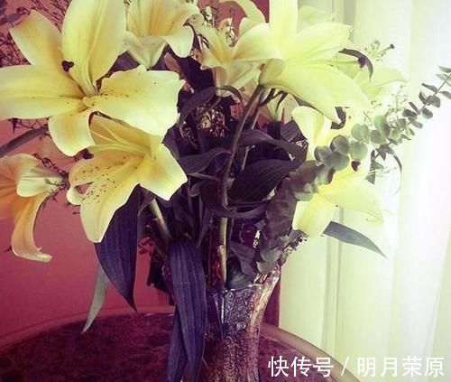 廚房|走進(jìn)演員吳樾住的房子,廚房里就一個(gè)電磁爐,看來平時(shí)幾乎不做飯