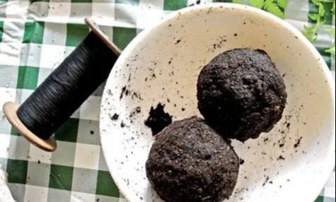 室内绿植种花不用盆,揉一个小球吊起来就让家里美翻