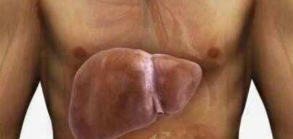 维生素b|有几物是肝毒的“克星”,常吃就是给肝脏洗澡,清除10年肝脏垃圾