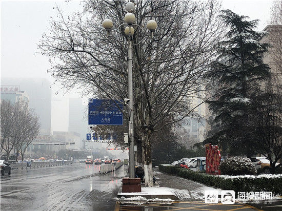 雪景|组图丨下雪了！济宁最美的雪景都在这儿