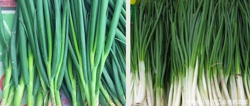 春天买葱时,注意区分“小葱”和“香葱”,差别很大,买错味道差