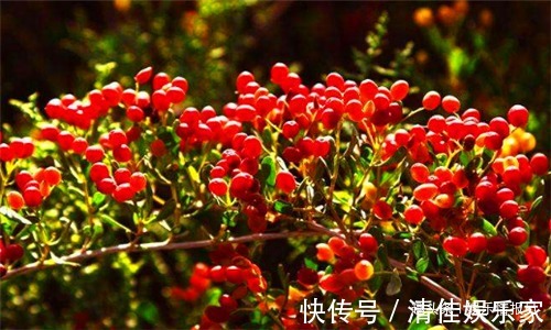 抗环血酸|女性不想变老,常食4种食物,排毒护肝,滋补卵巢,预防子宫早衰