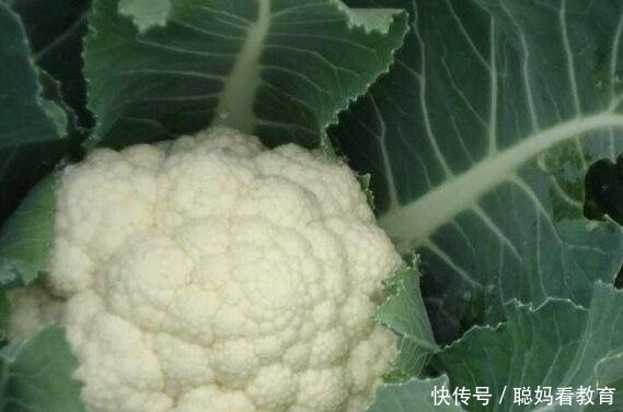  需要焯水的蔬菜，焯一下口感更好，脆嫩好吃颜色漂亮