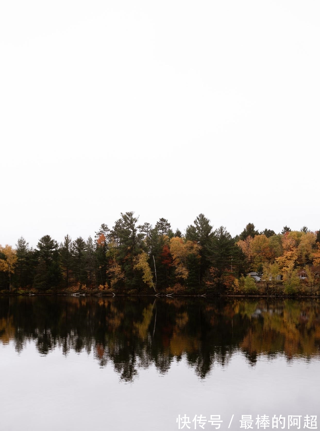 楚宫!李商隐凭吊屈原的一首诗,只短短4句,读来惆怅悲切,感慨万分