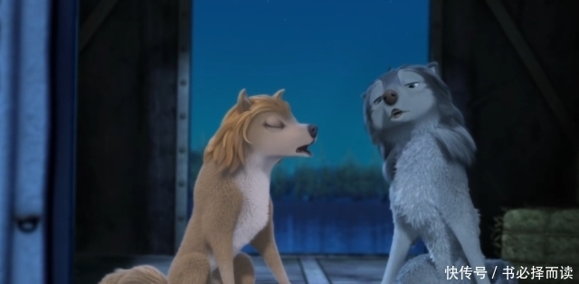 狼群|动漫影视论丨彼此了解才能拥有爱情，《丛林有情狼》体会生活美好