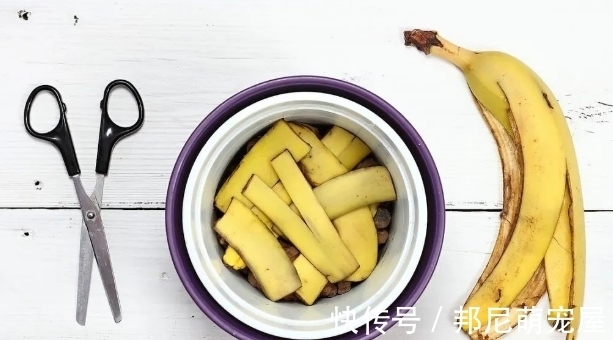 果皮堆肥养花,误入这4个坑,不仅无益反而有害