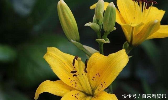 三件|做好这三件事,家庭的幸福不请自来