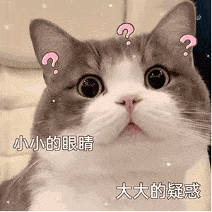 茹斌|在古城，被霸道老板强迫吃早餐，是什么体验？