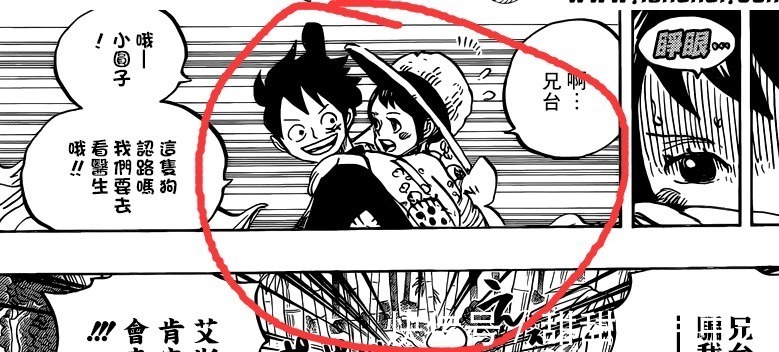 小玉|海贼王,只有四个妹子戴过路飞的草帽!一个萝莉,一个名字都记不住