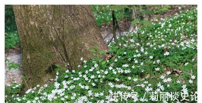 李玫瑾|带孩子尽量多去三个地方,孩子不想优秀都不行