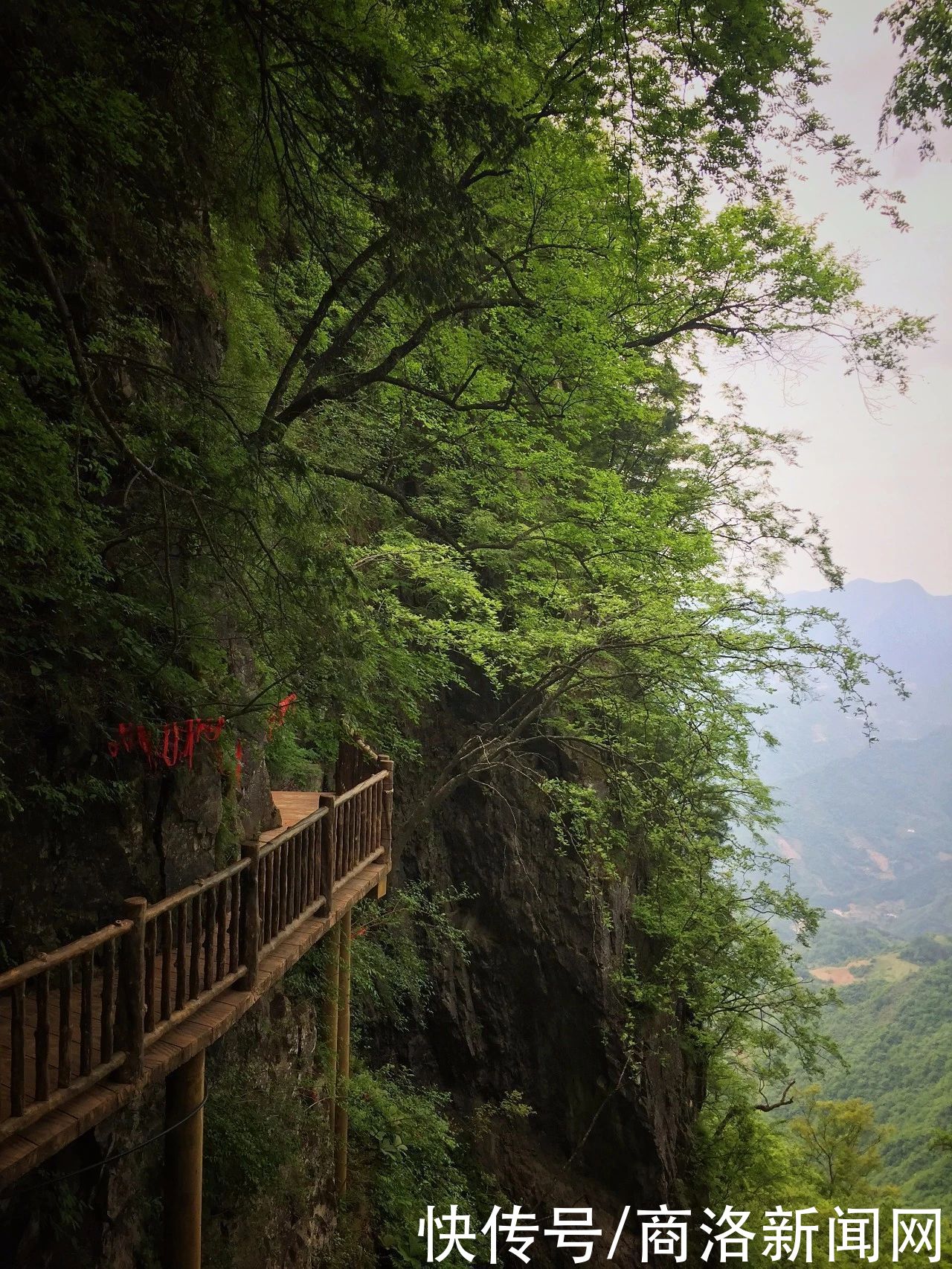 塔云山|塔云山——山顶上的温柔云海