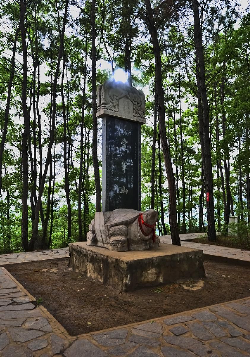 遭殃|定军山一战成名，可是“军山狐”却因此遭殃，目前基本绝迹了