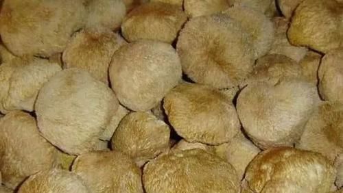  它是胃黏膜的“福音”，每天吃一点，养胃护胃，胃病不来扰！