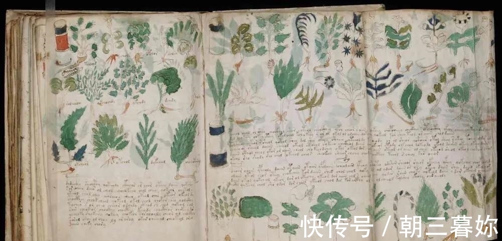 归藏@世界上最神秘的四部书籍,其中两部诞生在中国