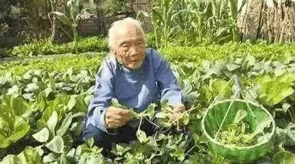 罗阿花|102岁老人,器官年龄只有30几岁!每天就喜欢吃这菜!