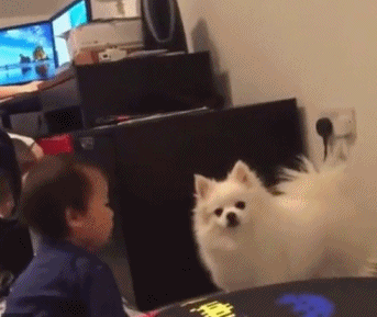 |搞笑GIF:第一次见女网友,之前她一直说是个胖子,今天一看,果然是