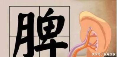 脾胃|百病皆由脾衰而生!脾虚了,压压手穴,就能手到病除,把虚补回来