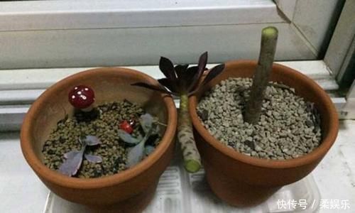 黑法师变老桩要绕开几个坑，晒的“崩溃”也能保条命