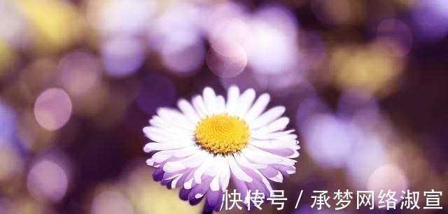 脸色|为人清高,且顶天立地,不看任何人脸色的三大星座,活出真实自我