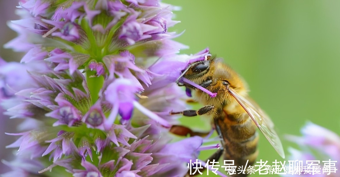 阳明|所谓的失眠，就是阳不入阴！这个方法，轻松解决失眠