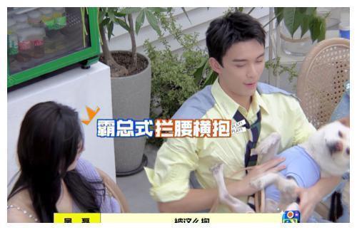 长歌行|吴磊把狗狗当孩子,霸总式的抱狗,让赵丽颖都不敢乱动了