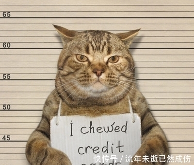 轻松一刻:孩子们,现在知道学外语的重要性了吗