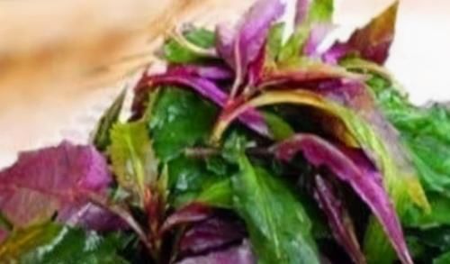 痛经|养宫就是养命,常吃3种食物,呵护子宫,调理内分泌,远离痛经!