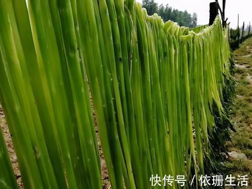 萝卜|这4种蔬菜晒干后，比新鲜的更好吃，生炒炖肉都行，放1年不会坏