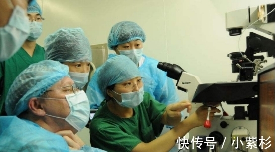北京一医院|当年全国第一个试管婴儿，时隔31年成了这样，网友看后纷纷泪目