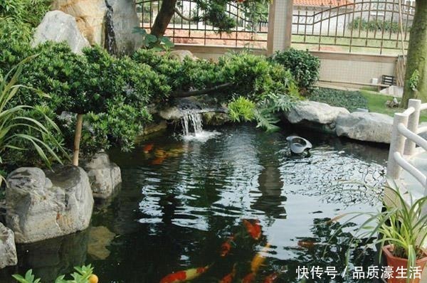 庭院里除了养花种草,还可以造个鱼池,每天逗鱼品茶,像世外桃源!