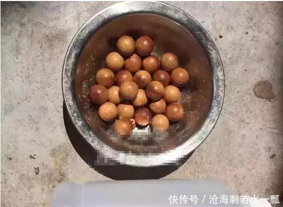 表面|文玩圈商家造假技术不断升级屡被曝光还有玩家上当!