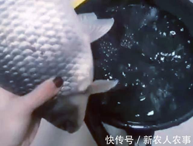 湖北一男子冒着寒冷通宵夜钓,妻子发现鱼获不对劲,网友:别乱想