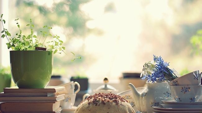 能力|读过1800本书的作家告诉你为什么成功人士都是读书家