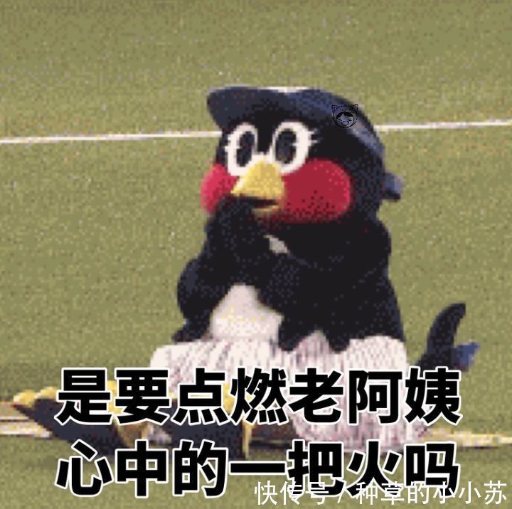 护肤|适合学生党用的洗面奶,平价好用,总有一款让你“倾心”