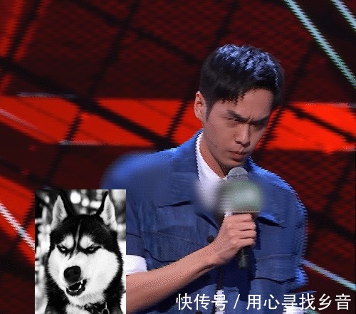 非你莫属|《脱口秀大会》张若昀首秀不忘秀恩爱，大方公开求爱语录