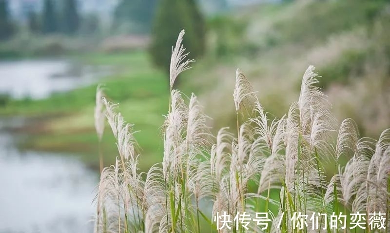 马戴&晚唐一诗人落榜后蜗居郊区，一首诗写尽落寞之感，颔联成千古名句