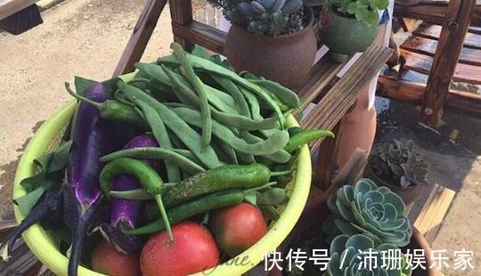 盆栽|老公阳台养盆栽,一家人看着乐开花,楼下邻居却天天找麻烦