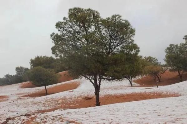 小镇|合肥都没下雪，撒哈拉沙漠居然先下了！网友：骆驼一脸懵