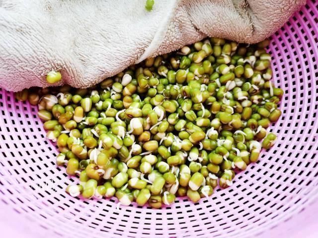 这个发豆芽小秘方,姥姥用了半辈子,又粗壮又脆嫩,3天就能吃