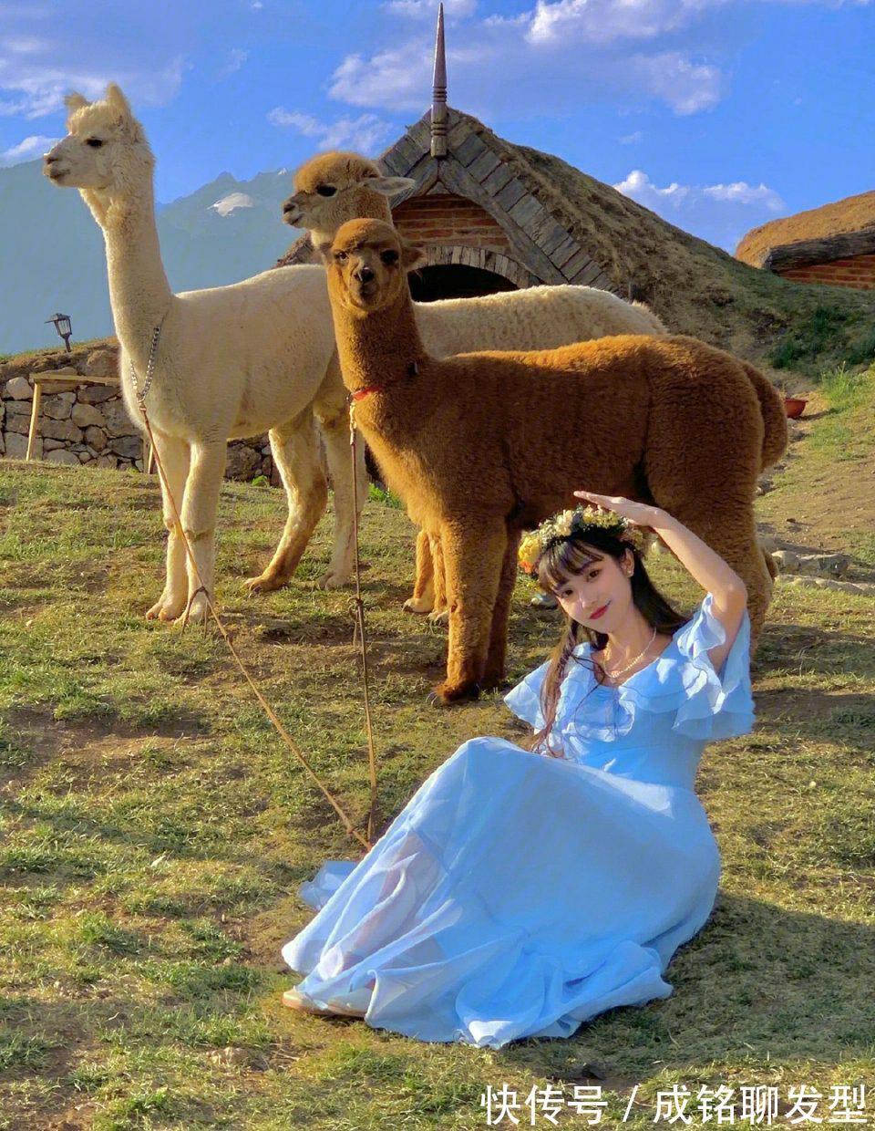 衣领|精致大方的连衣裙,休闲百搭又耐看,轻松穿出优雅浪漫的气息