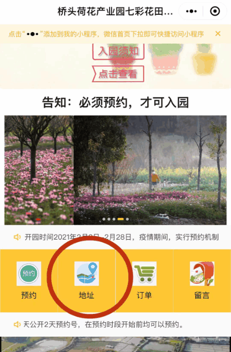 随手一拍就是大片！这个七彩花田成市民新春假期打卡地